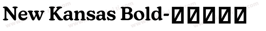 New Kansas Bold字体转换